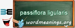 WordMeaning blackboard for passiflora ligularis